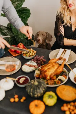 Restes de table à ne pas donner au chien