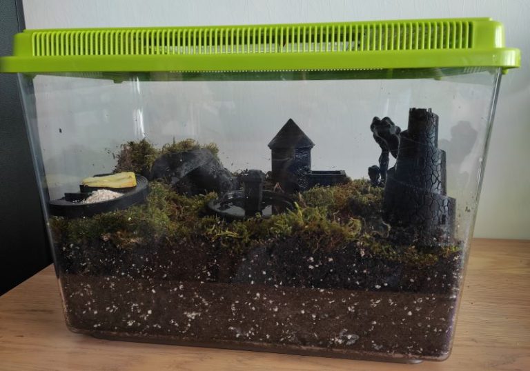 Comment faire un terrarium pour escargot chez soi