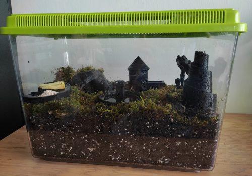 Créer un terrarium pour escargot