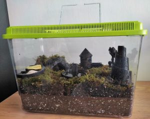 Epaisseur du substrat du terrarium à escargot